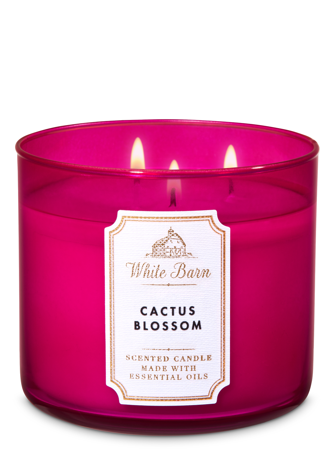 Cactus Blossom 3Wick Candle Bath & Body Works Australia Official Site